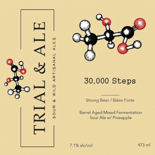 30.000 steps (Sour fruitée) - Brasserie Trial & Ale - Canada - Canette 47 cl - 7%